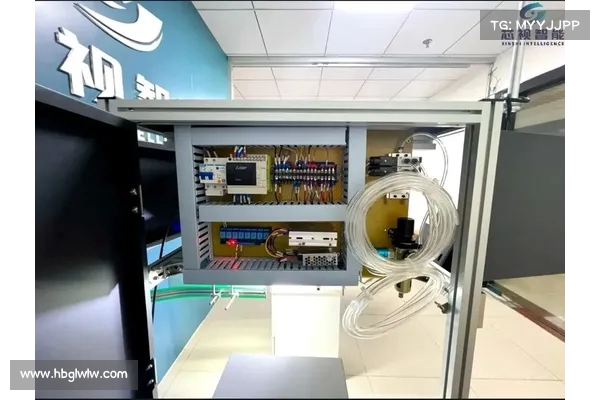 基于CCVT5技术的新型智能视觉处理系统设计与应用研究 基于CCVT5技术的新型智能视觉处理系统设计与应用研究